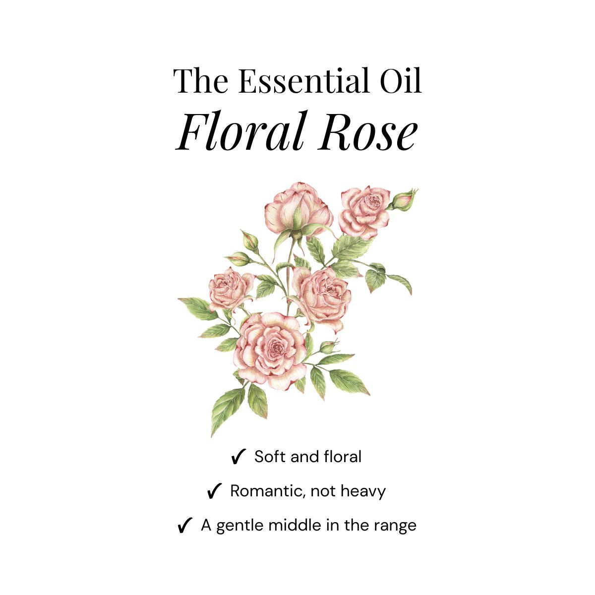 Shower Steamers alla Rosa Floreale - Scatola Regalo da 6
